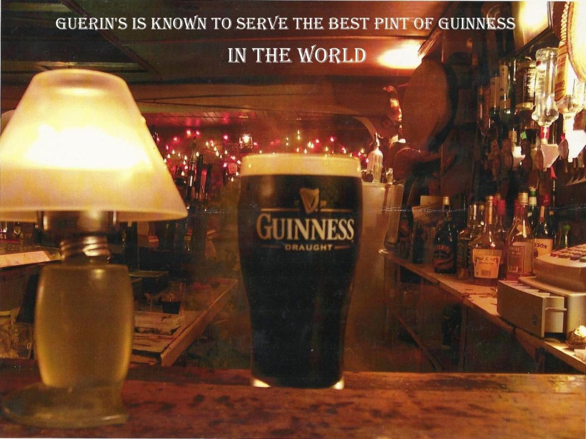 Kingfisher & Pub Castleconnell